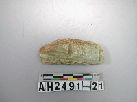 藏品(玉料)的圖片